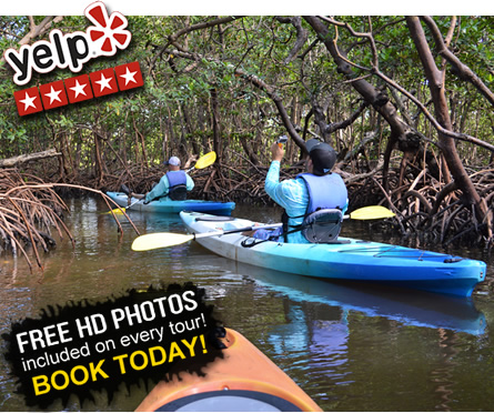Mangrove Tunnels Kayak Tour in Naples